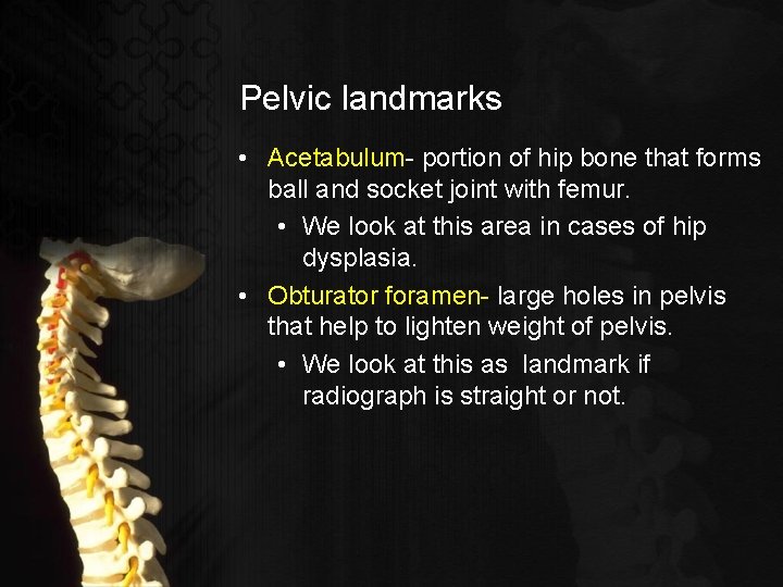 Pelvic landmarks • Acetabulum- portion of hip bone that forms ball and socket joint