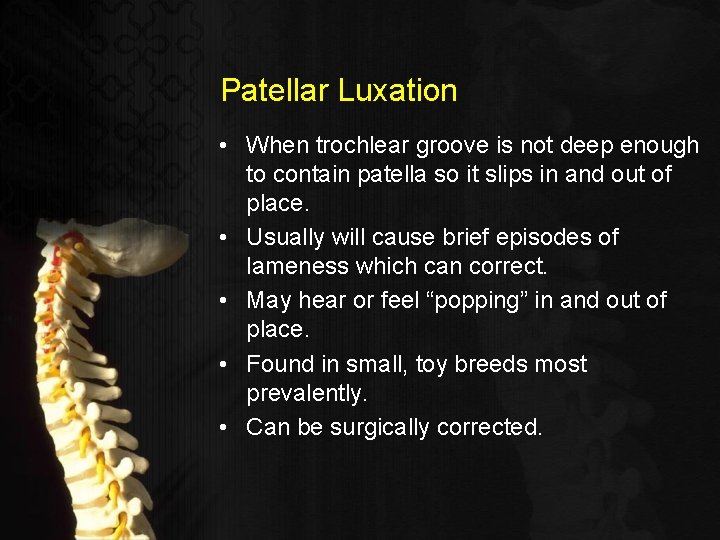 Patellar Luxation • When trochlear groove is not deep enough to contain patella so
