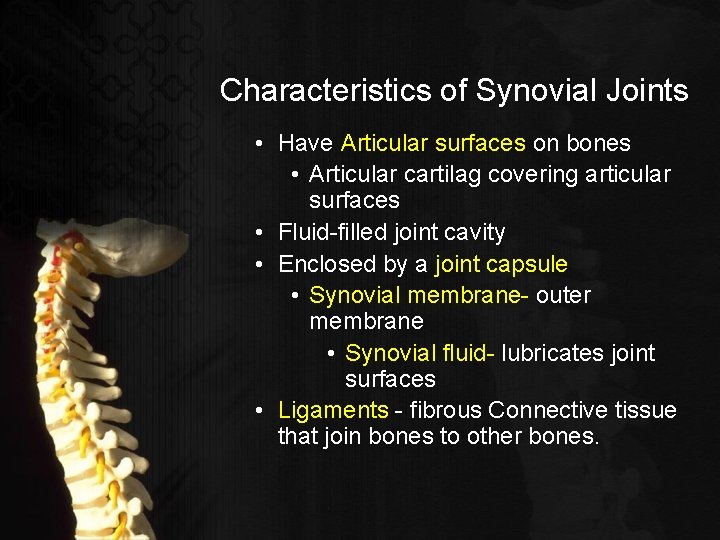 Characteristics of Synovial Joints • Have Articular surfaces on bones • Articular cartilag covering