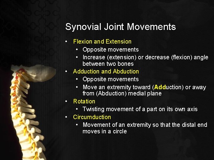 Synovial Joint Movements • Flexion and Extension • Opposite movements • Increase (extension) or
