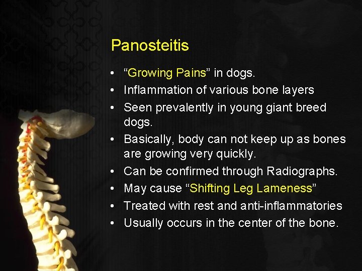 Panosteitis • “Growing Pains” in dogs. • Inflammation of various bone layers • Seen