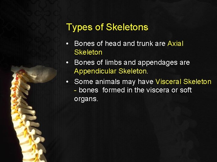 Types of Skeletons • Bones of head and trunk are Axial Skeleton • Bones