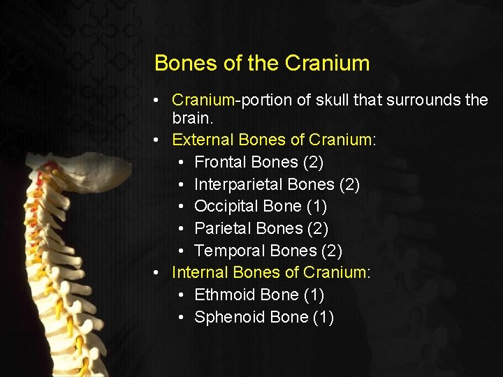 Bones of the Cranium • Cranium-portion of skull that surrounds the brain. • External