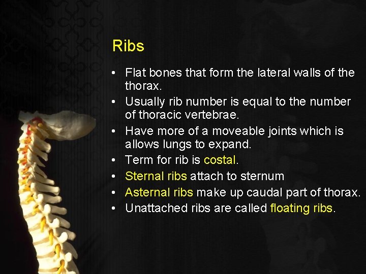 Ribs • Flat bones that form the lateral walls of the thorax. • Usually