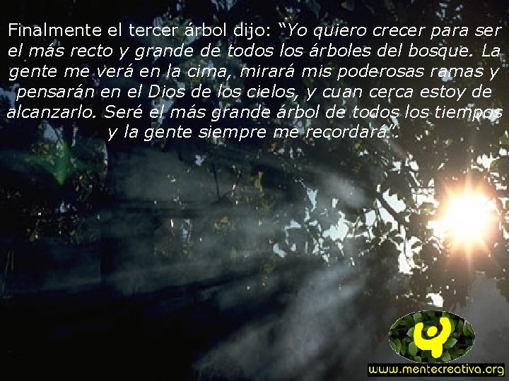 Finalmente el tercer árbol dijo: “Yo quiero crecer para ser el más recto y