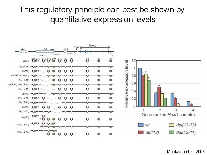 This regulatory principle can best be shown by quantitative expression levels Montavon et al.