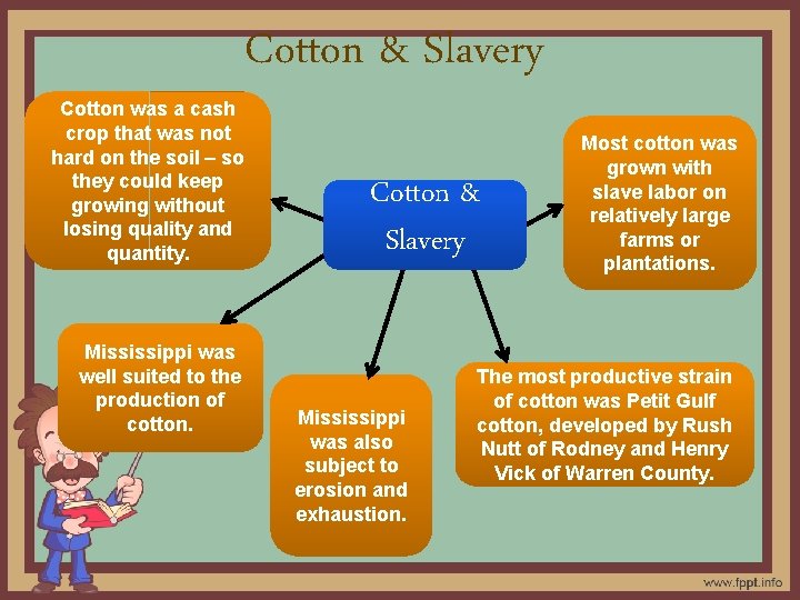 Cotton & Slavery Cotton was a cash crop that was not hard on the