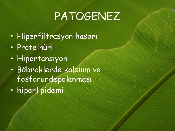 PATOGENEZ • • Hiperfiltrasyon hasarı Proteinüri Hipertansiyon Böbreklerde kalsium ve fosforundepolanması • hiperlipidemi 