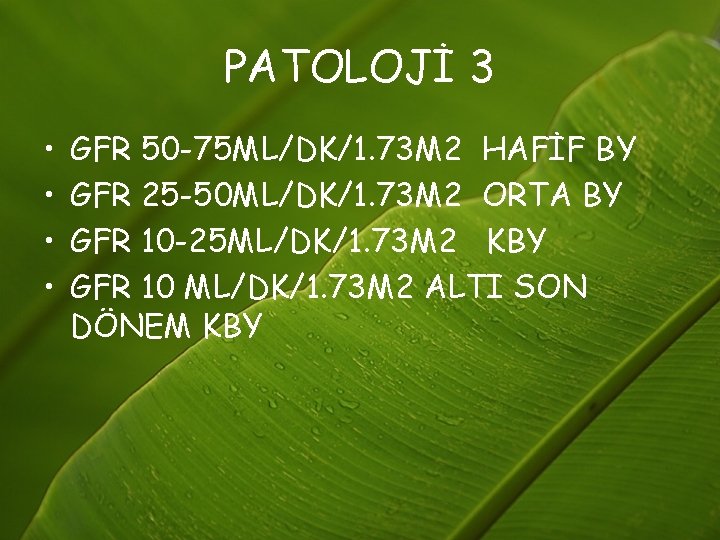 PATOLOJİ 3 • • GFR 50 -75 ML/DK/1. 73 M 2 HAFİF BY GFR