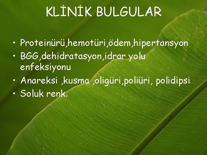 KLİNİK BULGULAR • Proteinürü, hemotüri, ödem, hipertansyon • BGG, dehidratasyon, idrar yolu enfeksiyonu •