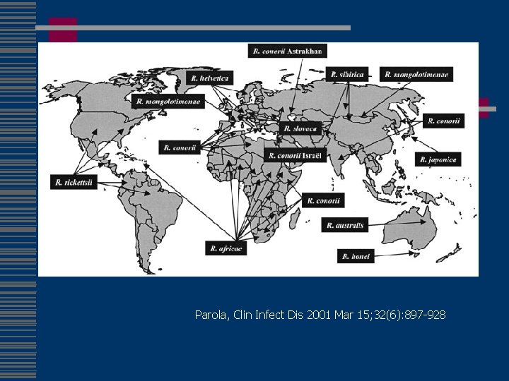 Parola, Clin Infect Dis 2001 Mar 15; 32(6): 897 -928 