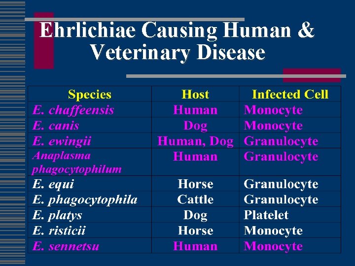 Ehrlichiae Causing Human & Veterinary Disease 