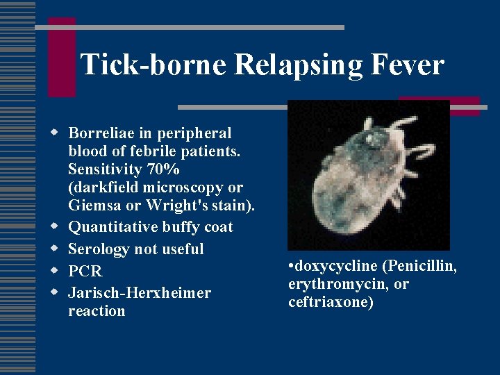 Tick-borne Relapsing Fever w Borreliae in peripheral blood of febrile patients. Sensitivity 70% (darkfield