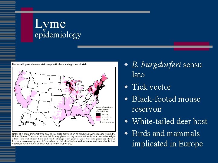 Lyme epidemiology w B. burgdorferi sensu lato w Tick vector w Black-footed mouse reservoir