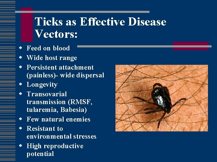 Ticks as Effective Disease Vectors: w Feed on blood w Wide host range w