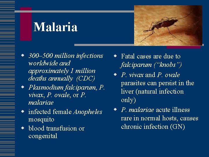 Malaria w 300– 500 million infections worldwide and approximately 1 million deaths annually (CDC)