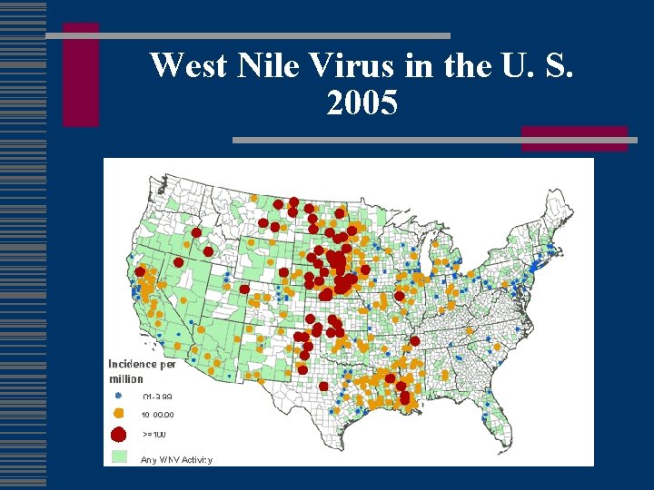 West Nile Virus in the U. S. 2005 