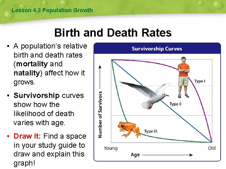 Lesson 4. 3 Population Growth Birth and Death Rates • A population’s relative birth