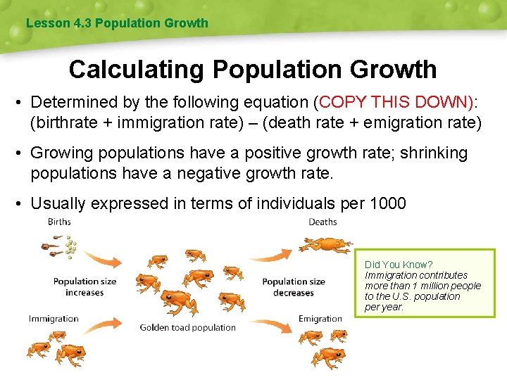 Lesson 4. 3 Population Growth Calculating Population Growth • Determined by the following equation