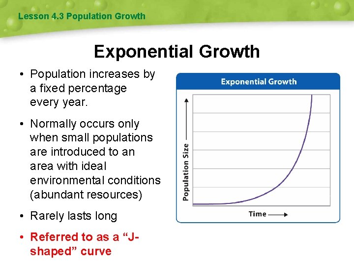 Lesson 4. 3 Population Growth Exponential Growth • Population increases by a fixed percentage