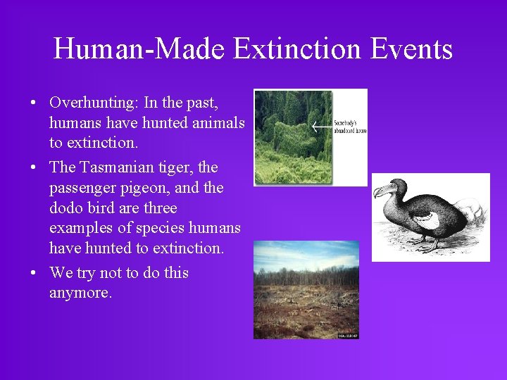 Human-Made Extinction Events • Overhunting: In the past, humans have hunted animals to extinction.