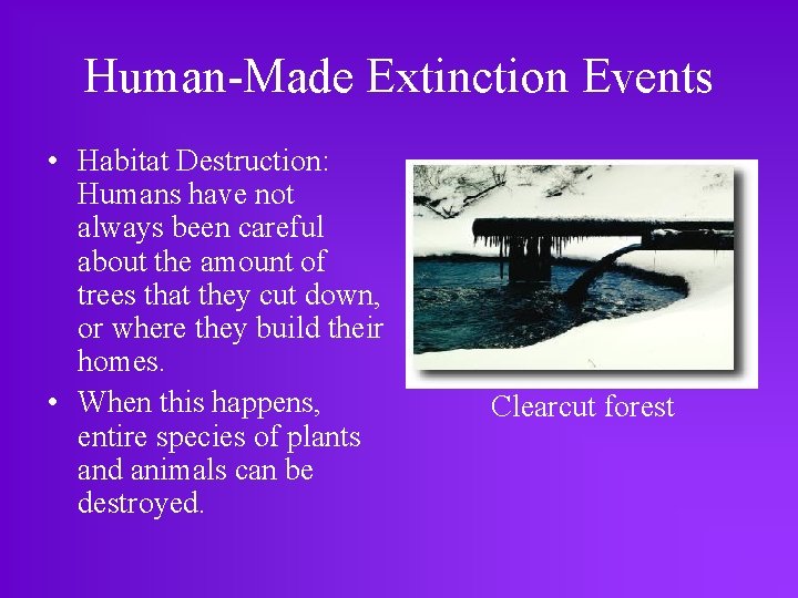 Human-Made Extinction Events • Habitat Destruction: Humans have not always been careful about the
