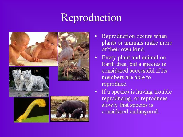 Reproduction • Reproduction occurs when plants or animals make more of their own kind.