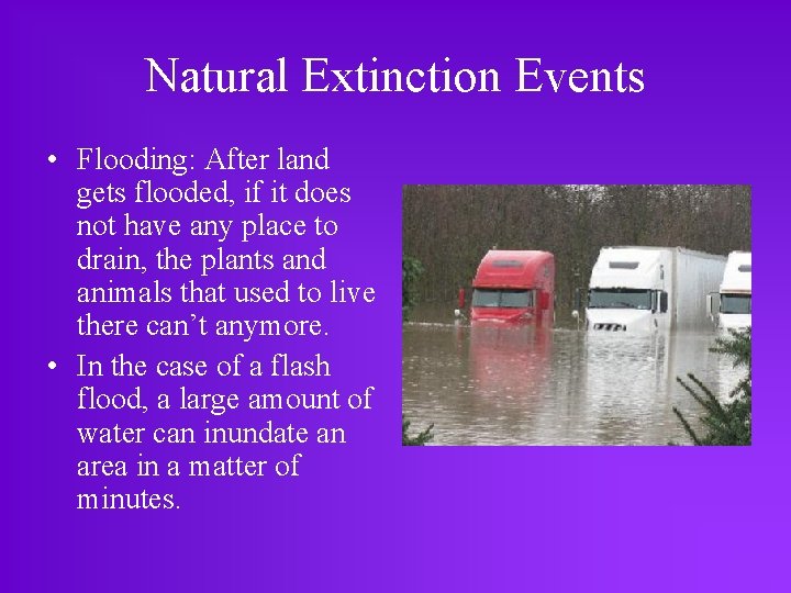 Natural Extinction Events • Flooding: After land gets flooded, if it does not have