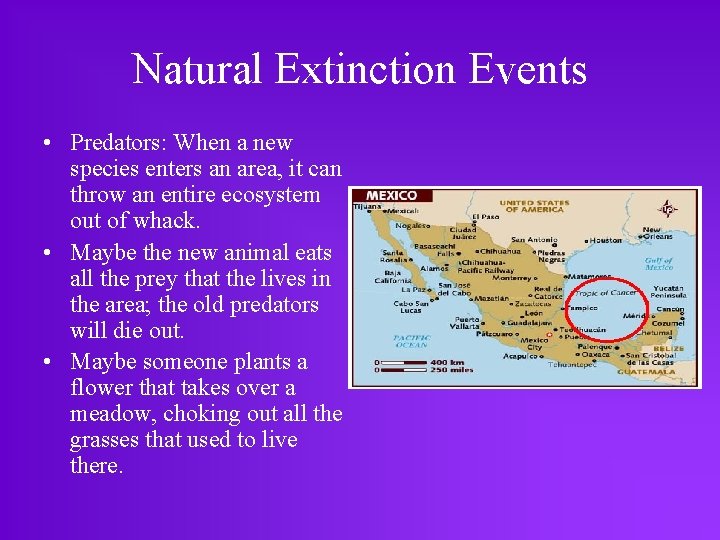 Natural Extinction Events • Predators: When a new species enters an area, it can