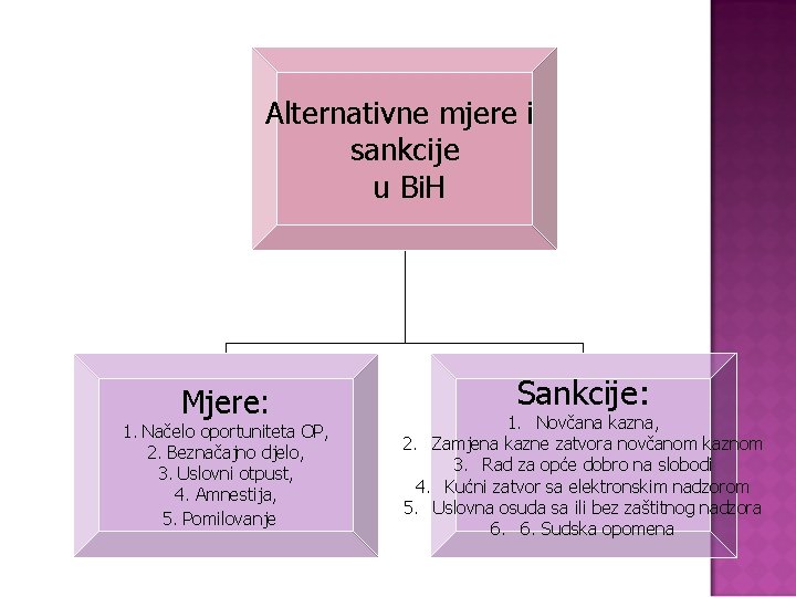 Alternativne mjere i sankcije u Bi. H Mjere: 1. Načelo oportuniteta OP, 2. Beznačajno