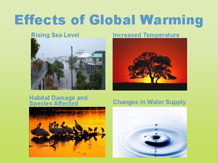 Effects of Global Warming Rising Sea Level Increased Temperature Habitat Damage and Species Affected