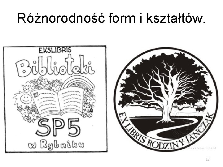 Różnorodność form i kształtów. 12 