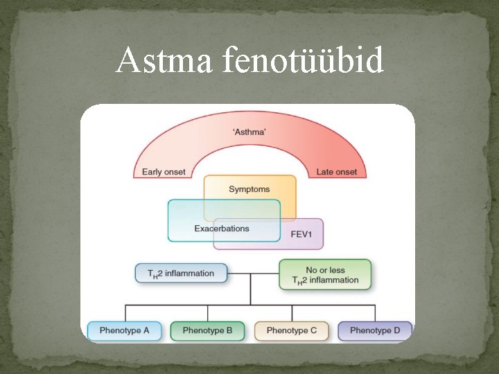 Astma fenotüübid 