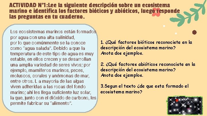 ACTIVIDAD N° 1: Lee la siguiente descripción sobre un ecosistema marino e identifica los