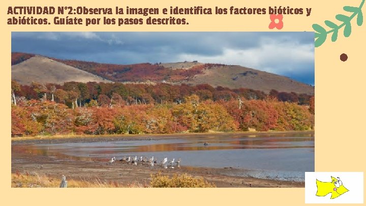 ACTIVIDAD N° 2: Observa la imagen e identifica los factores bióticos y abióticos. Guíate