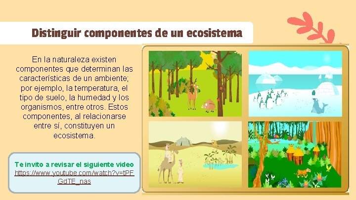 Distinguir componentes de un ecosistema En la naturaleza existen componentes que determinan las características