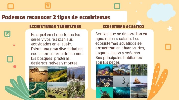 * Podemos reconocer 2 tipos de ecosistemas ECOSISTEMAS TERRESTRES * Es aquel en el