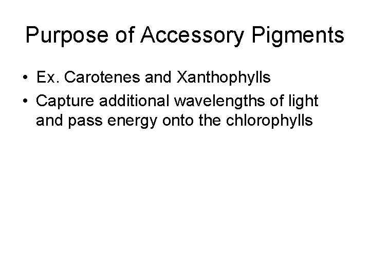 Purpose of Accessory Pigments • Ex. Carotenes and Xanthophylls • Capture additional wavelengths of