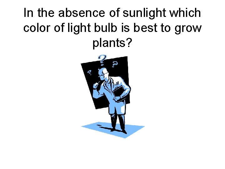 In the absence of sunlight which color of light bulb is best to grow