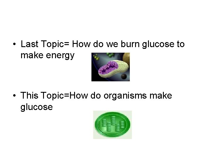  • Last Topic= How do we burn glucose to make energy • This