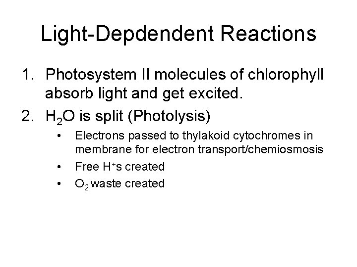 Light-Depdendent Reactions 1. Photosystem II molecules of chlorophyll absorb light and get excited. 2.