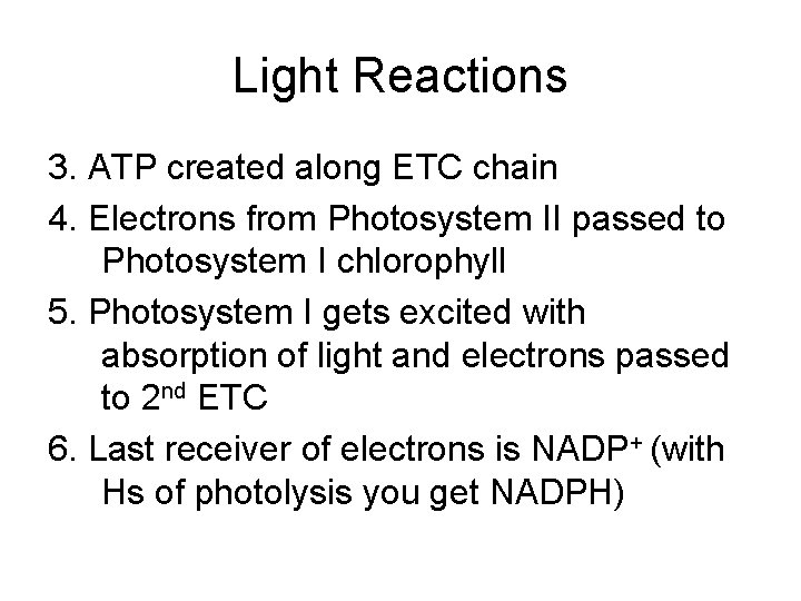Light Reactions 3. ATP created along ETC chain 4. Electrons from Photosystem II passed