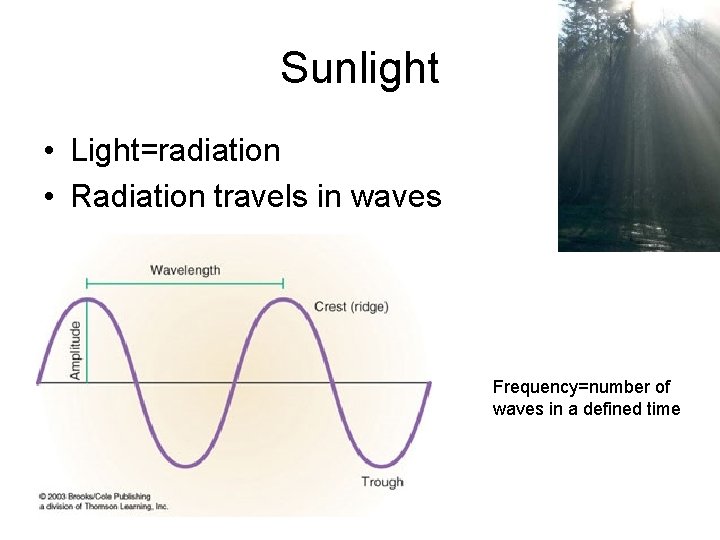 Sunlight • Light=radiation • Radiation travels in waves Frequency=number of waves in a defined