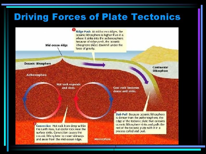 Driving Forces of Plate Tectonics 