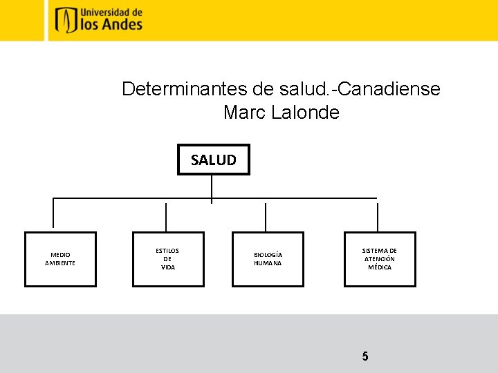 Determinantes de salud. -Canadiense Marc Lalonde SALUD MEDIO AMBIENTE ESTILOS DE VIDA BIOLOGÍA HUMANA