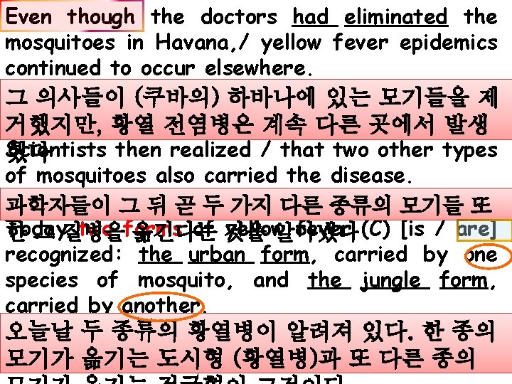 Even though the doctors had eliminated the mosquitoes in Havana, / yellow fever epidemics