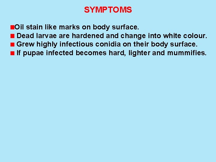 SYMPTOMS Oil stain like marks on body surface. Dead larvae are hardened and change