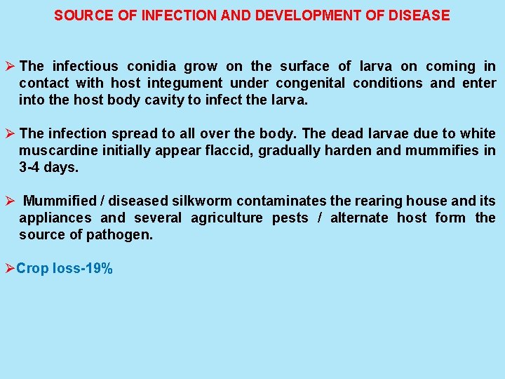 SOURCE OF INFECTION AND DEVELOPMENT OF DISEASE Ø The infectious conidia grow on the
