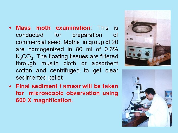  • Mass moth examination: This is conducted for preparation of commercial seed. Moths