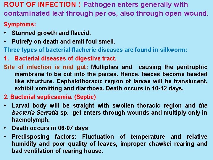 ROUT OF INFECTION : Pathogen enters generally with contaminated leaf through per os, also